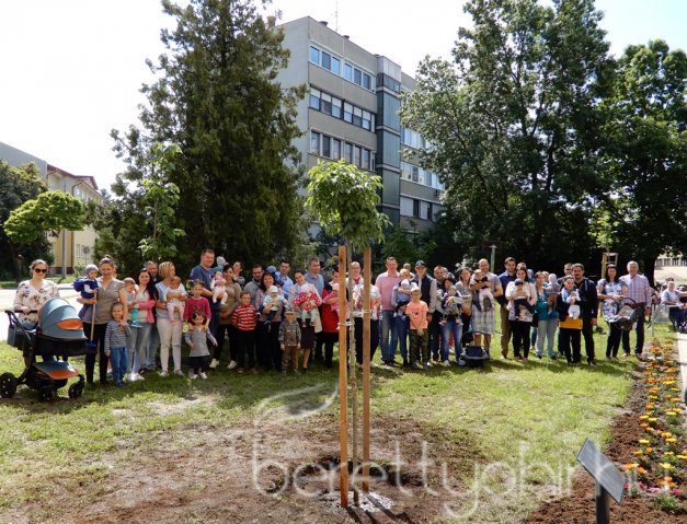 Életfát ültettünk 34